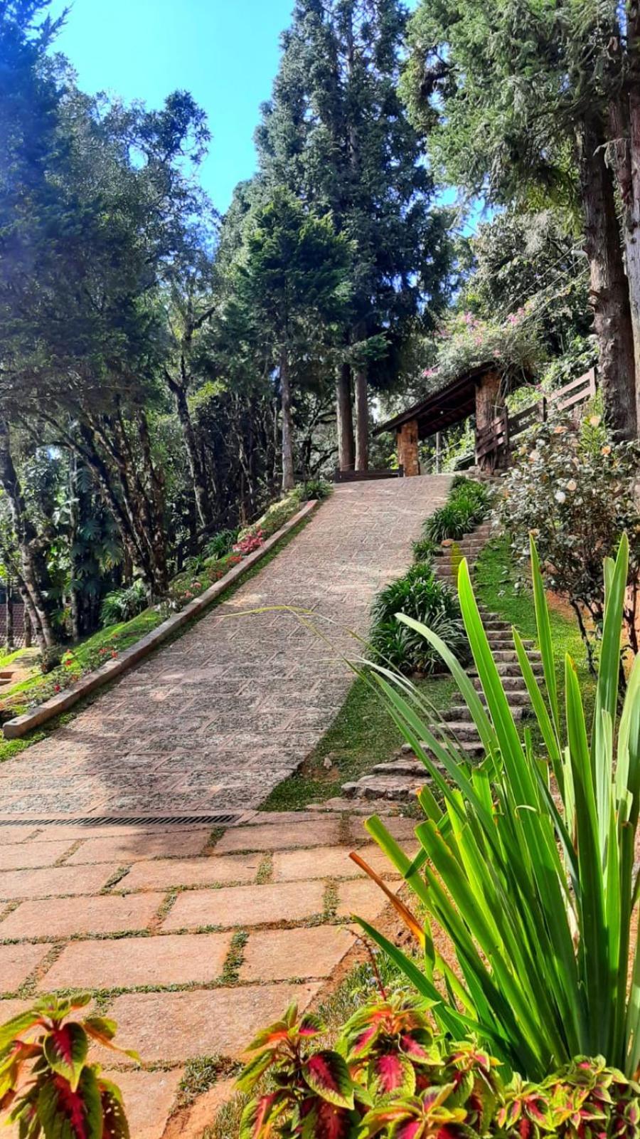 Hotel Refugio Do Selado Monte Verde  Exterior foto